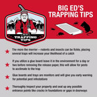 Mice Glue Traps Pest Sticky Boards 72 Max Trap Catch Spiders Insects  36 Count 