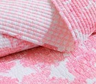 Pottery Barn X Lilly Pulitzer Pink Anniversary Toile Baby Toddler Quilt-sealed