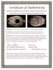Ancient Holy Land Oil Lamp Artifact 2 Hidden Christian Crosses 300-600ad Coa 111