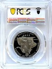 2004-w American Eagle 1oz Platinum Proof Coin Pcgs Pr69 Dcam New Holder