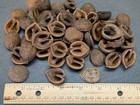 Lot Of 50 Black Walnut Shell Halves