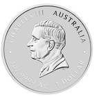 Australian Lunar Series Iii 2026 Year Of The Horse 1oz Silver Gilded Coin