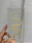 Real Snake Skeleton Taxidermy In Resin Snake Skull Water Snake Bone Gift