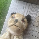 Vintage 1950s Steiff  bully  Bulldog Hand Puppet Mohair German Antique Toy