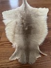 Genuine Australian Tanned Xl Kangaroo Skin Hide Fur Leather 88cm  not Inc  Tail 
