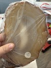 Over 3lb Agate Slabs  12 Slab Lot 204