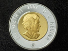2007 Silver Frosted Proof Canada 2 Dollar Polar Bear Unc Toonie Coin