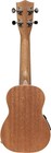 Acoustic-electric Soprano Ukulele With Sapele Top And Gigbag