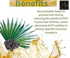 Saw Palmetto Oil For Prevent Hair Loss Rosemary Pumpkin Seed Oil For Hair Growth