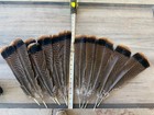 12 Turkey Tail Feathers 14-16   Long Eastern Turkey Feathers