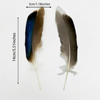 200pcs Duck Feathers Natural Spotted Feathers Wild Turkey Feather For Crafts