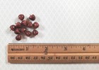 Dollhouse Apples Set Of 12 1 12 Scale Miniatures Kitchen Food Fruits Grocery
