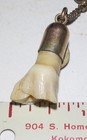 Antique Royal Order Of The Moose Ivory Tooth Charm With Chain Gold Tone Enamel