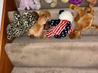 Ty Beanie Buddies Collection mixed Lot Of 9 Hippo Monkey Zebra Camel Sherbet
