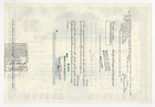 National Steel Corporation Stock Certificate
