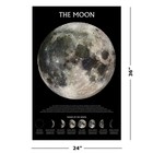 The Moon - Poster  the Phases Of The Moon - Facts   Descriptions   24  X 36  