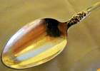 Antique 1898 R Wallace   Sons Sterling Silver Souvenir Spoon Rose Design