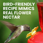 Perky-pet Hummingbird Instant Nectar Powder Concentrate - 2 Lb Bag - 244sfb - Ma