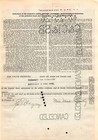 National Tea Co  - Original Stock  Certificate - 1925 - Tcco2084