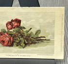 Vintage B T Babbitt Advertising Card Roses Lilacs Our Protector Grandmother