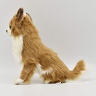 Hansa Chihuahua 31 Animal Plush