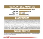 Royal Canin Breed Health Nutrition Chihuahua Adult Dry Dog Food  10-lb Bag