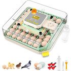 12 70 Egg Incubator W automatic Egg Turning Egg Hatching Temp   Humidity Control