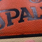 Spalding Wnba Official Game Mercury 2018 Clarino Basketball Dual Color