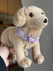 American Girl Kailey Retired Pet Dog Sandy Posable Plush Golden Retriever