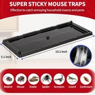 Mouse Glue Traps 6 Packs Large Glue Traps For Mice And Rats Indoor Sticky Traps