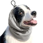 No Flap Ear Wraps For Dogs     Cooling Bandana For M neck Circumference 15 -21  