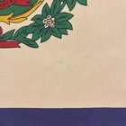 Vintage Cotton Overdyed West Virginia State Flag Cloth Textile Art Usa American
