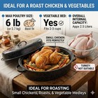 Enamel Roaster With Lid 14 5      Black Speckled Oval Roasting Pan  Oven-to-table