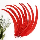  50pcs Rooster Coque Tail Feathers Bulk Natural 30-35cm For 12-14inch Red