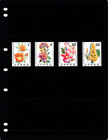  24 00 Scott Value - 1971 Congo Zaire Flowers Central Africa Cv Mnh Nh Um