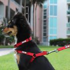 Dog Harness Or Puppy Harness Available Extra Small Small Medium Large Solid