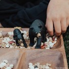 Safari Ltd  Black Bear Cub Figurine - Detailed 3  Plastic Model Small 