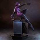 Catwoman Resin Sculpture Statue Model Kit Dc Size Choices  Unpainted unassembled