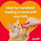 Hartz Delectables Squeeze Up Interactive Lickable Wet Cat Treat Variety Pack  72