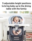 New  Nib  Graco Duodiner Dlx 6-in-1 Highchair  Kenton