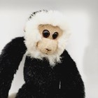 Wild Republic Hanging Capuchin Monkey Plush Black Grey Fastening Hands 1998