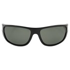 Sea Striker Bill Collector Polarized Sunglasses  Black Frame  Grey Mirror Lens 