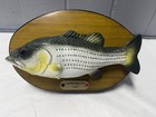 Large Mouth Lou Singing Fish Wall Plaque     Tested Working - Rare      