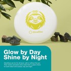 Led Light Up Flying Disc Frisbee  Cute Designs  Motion Activated  Waterproof    