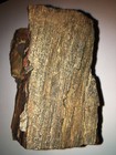 Arizona Rainbow Petrified Wood 1  Lb Beautiful Colors Rough Chunk Stone Rare