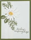 Stampin    Up  Sympathy comfort any Occasion
