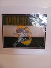 Vintage Green Bay Packers Framed Art Print Signed 1994 Football Wall Decor   