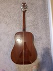 Vintage Fender F-35 Acoustic Guitar