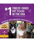 18oz Stella   Chewy s Freeze-dried Raw Bountiful Beef Morsels Cat Food