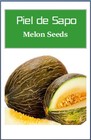 Piel De Sapo Melon Seeds   Non-gmo   Heirloom   Fresh Garden Seeds